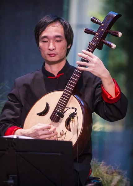 Китайський музикант — стокове фото