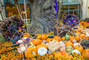 Bellagio Hotel Konservatuarı ve Botanik Bahçeleri