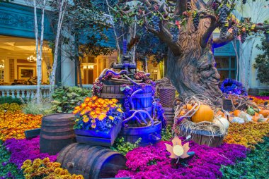 Bellagio Hotel Konservatuarı ve Botanik Bahçeleri