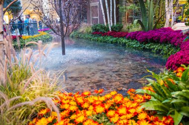 Bellagio Hotel Konservatuarı ve Botanik Bahçeleri