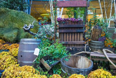 Bellagio Hotel Konservatuarı ve Botanik Bahçeleri