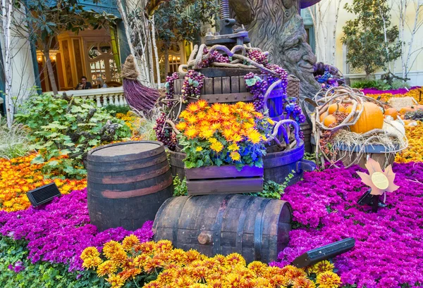 Bellagio Hotel Conservatory & Botanical Gardens — Stock Photo, Image