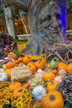 Bellagio Hotel Konservatuarı ve Botanik Bahçeleri