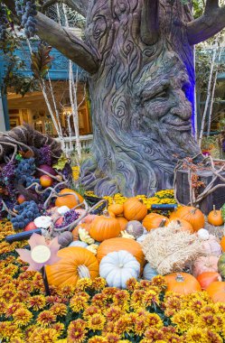 Bellagio Hotel Konservatuarı ve Botanik Bahçeleri