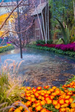 Bellagio Hotel Konservatuarı ve Botanik Bahçeleri