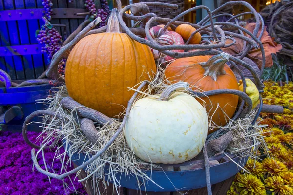 Pumpkins — Stock Photo, Image