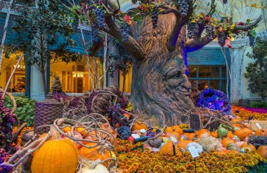 Bellagio Hotel Konservatuarı ve Botanik Bahçeleri