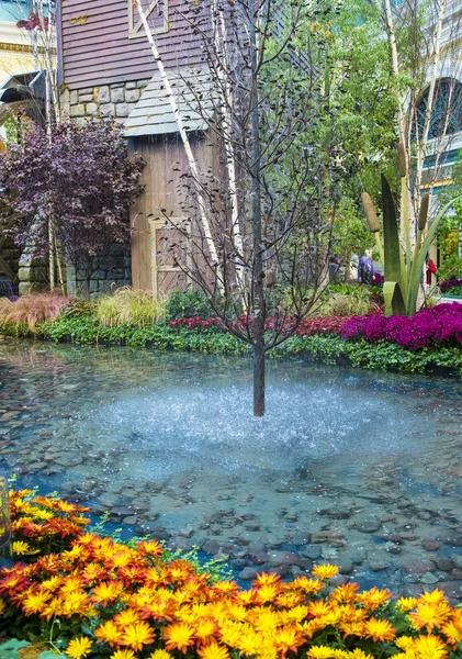 Bellagio szálloda télikertjében & botanikus kertek — Stock Fotó