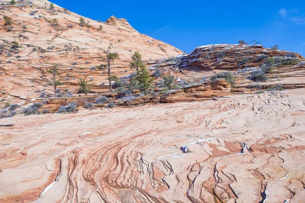 Zion Park — Stockfoto