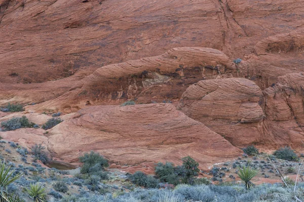 赤い岩の峡谷、ネバダ. — ストック写真