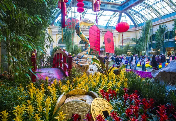 Bellagio Hotel Konservatuarı ve Botanik Bahçeleri — Stok fotoğraf