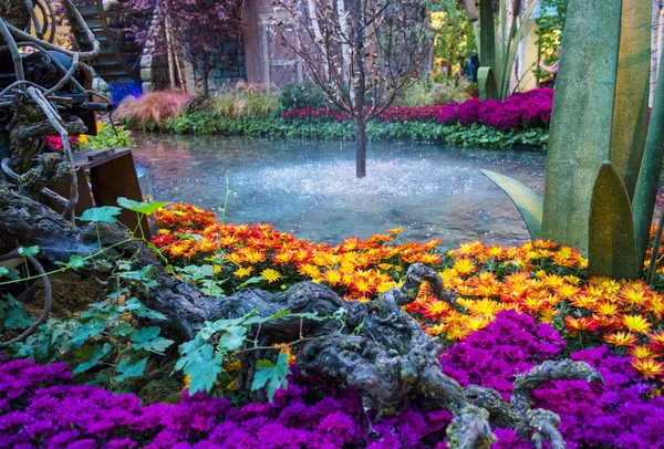 Bellagio Hotel Konservatuarı ve Botanik Bahçeleri — Stok fotoğraf