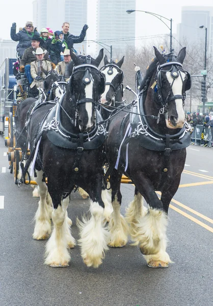 Chicago Saint Patrick parade — Stock Photo, Image