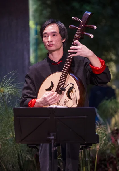 中国音乐家 — 图库照片
