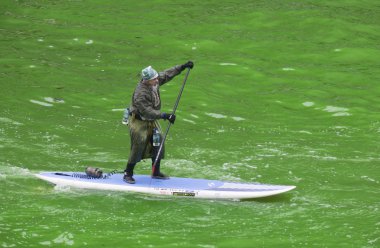 yeşil boyalı Chicago Nehri