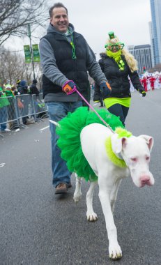 Chicago Saint Patrick geçit töreni