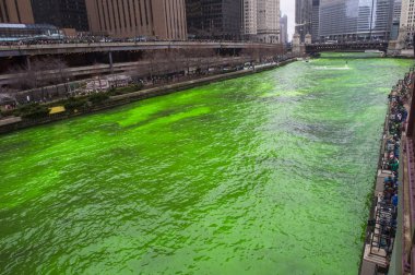 yeşil boyalı Chicago Nehri