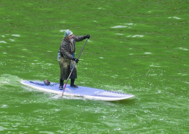 yeşil boyalı Chicago Nehri