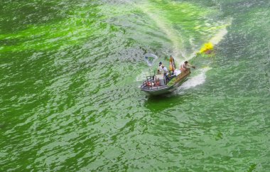 yeşil boyalı Chicago Nehri
