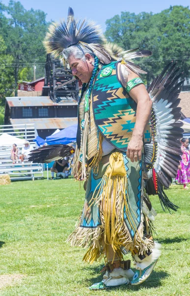 Native Indian — Stockfoto