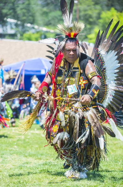 Native Indian — Zdjęcie stockowe