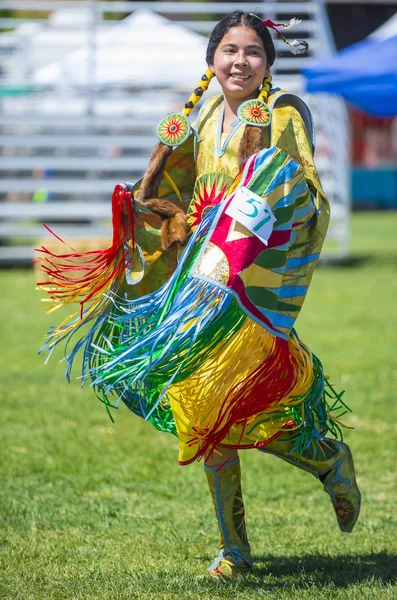 Native Indian — Stock Photo, Image