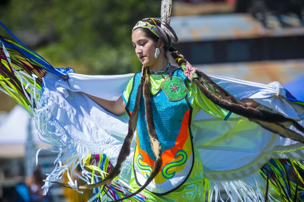 Native Indian — Stock Photo, Image