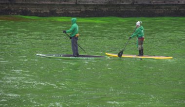 yeşil boyalı Chicago Nehri