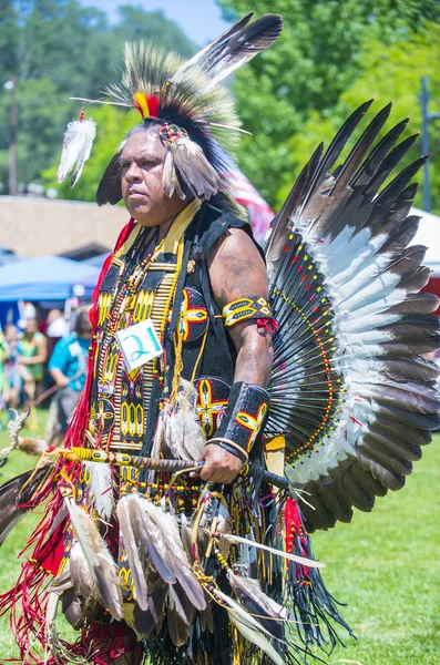 Native Indian — Zdjęcie stockowe