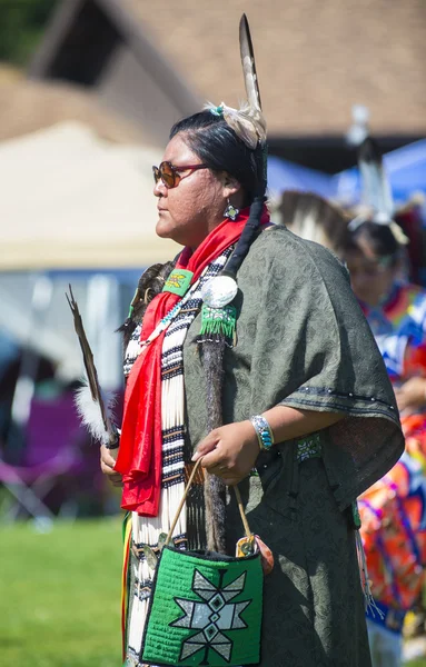 Native Indian — Stock Photo, Image