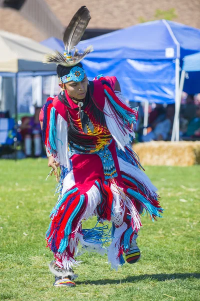 Native Indian — Stock Photo, Image