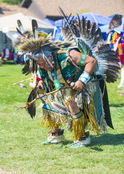 Native Indian — Stock Photo, Image