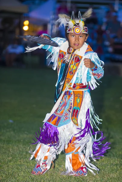 Native Indian — Stock Photo, Image