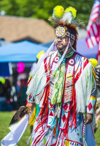 Native Indian — Zdjęcie stockowe