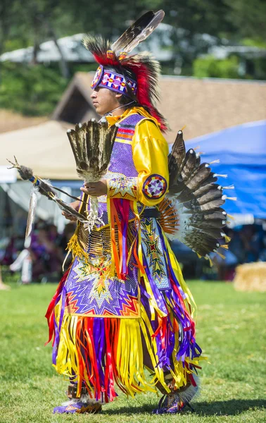 Native Indian — Stock Photo, Image