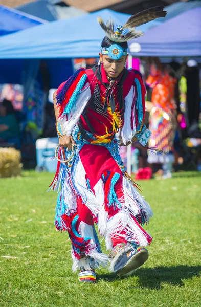 Native Indian — Stock Photo, Image