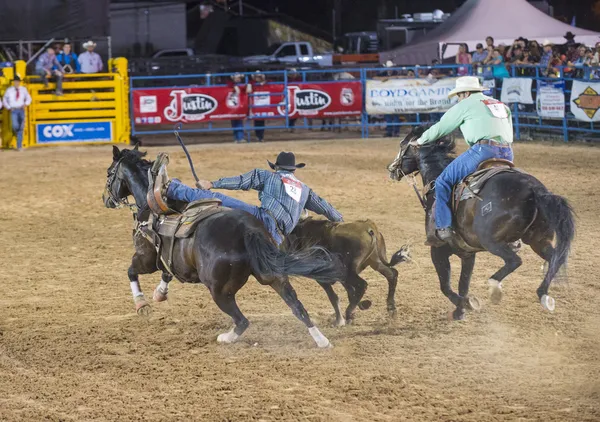 Helldorado days rodeo — Stock Photo, Image