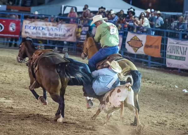 Helldorado days rodeo — Stock Photo, Image