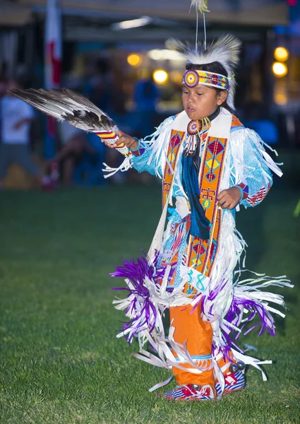 Native Indian — Stockfoto
