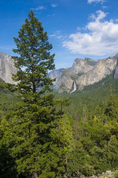 Yosemite-Nationalpark — Stockfoto