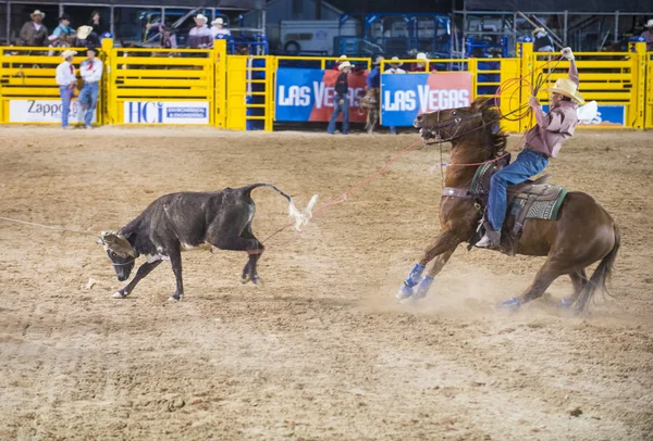 Helldorado days rodeo — Stock Photo, Image