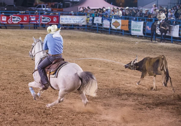 Helldorado dagar rodeo — Stockfoto