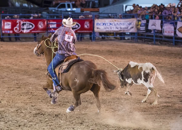 Helldorado dni rodeo — Zdjęcie stockowe