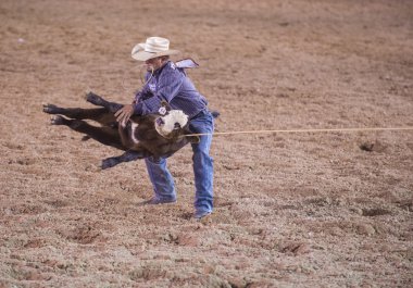 Helldorado gün rodeo