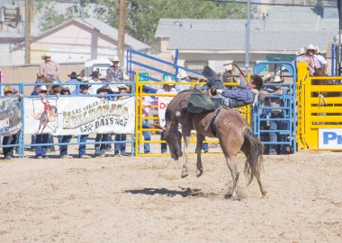 Helldorado gün rodeo