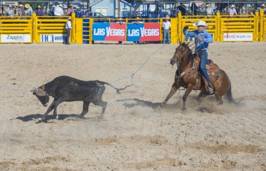 Helldorado gün rodeo