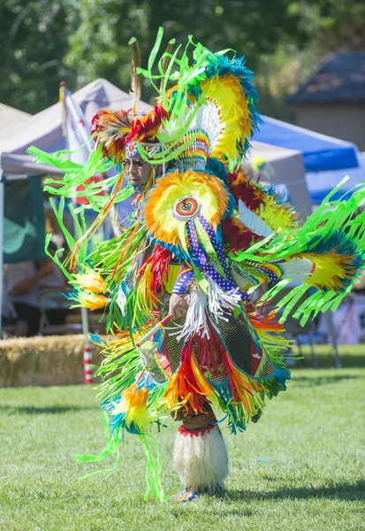 Native Indian — Stockfoto