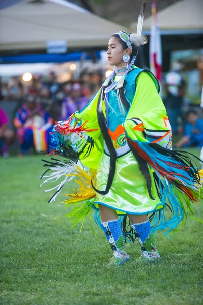 Native Indian — Stock Photo, Image