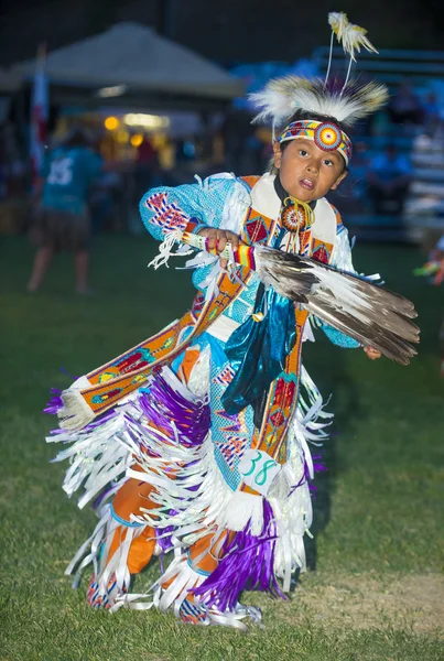 Native Indian — Stock Photo, Image