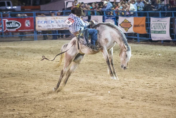 Helldorado days rodeo — Stock Photo, Image